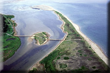 The Mouth of a river