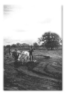 Uganda Long Ago