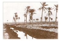 British Empire and Middle East