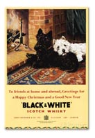 Black and White: The Chittenden Legend