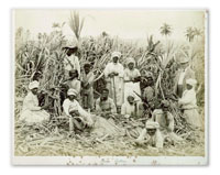 Colonial Caribbean 