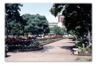 Serving in the Public Sector inCentral Africa from 1959 to 1987