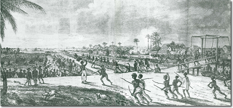 Click for Larger Resolution Image