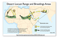 How to Kill Locusts How to Kill Locusts