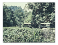 An Adventurous Tripto Upper Perak, Malaya, in 1950