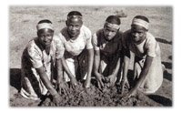 From Maseru To Rome Via London, Edinburgh & Paris: The Story OfThe 1957 Petition and Constitutional Development in Basutoland