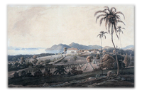 The Malayan Civil Service