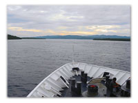 A Stomach Ache in the Solomons