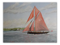 Reminiscences of the Leeward Islands