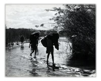 Journey to Mongu