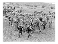 Palestine: Britain's Crown of Thorns