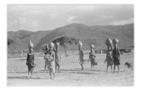 Tales From The African Bush