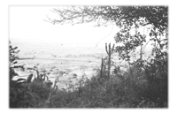Tales From The African Bush