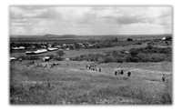 Tales From The African Bush