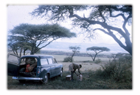 Kopje on the Serengeti Plain