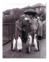 From Maseru To Rome Via London, Edinburgh & Paris: The Story OfThe 1957 Petition and Constitutional Development in Basutoland