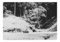 Encounters In Malayan Police Work