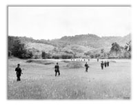 Jungle Patrols