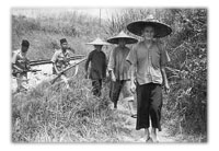 Encounters In Malayan Police Work
