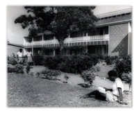 Education and Political Changein the Gold Coast