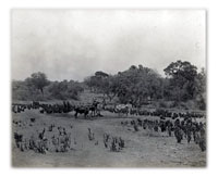 An ADO in Zuru An ADO in Zuru