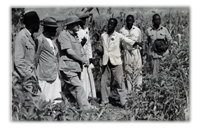 The Transfer of Power: The Colonial Administrator in the Age of Decolonisation