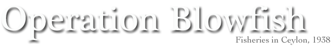 British Empire Article