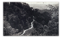 Malaya - A Magical Experience