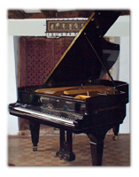 A Piano, a Buffalo and Kidneys in Red Wine A Piano, a Buffalo and Kidneys in Red Wine