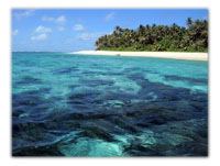 A Stomach Ache in the Solomons A Stomach Ache in the Solomons