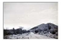 Tales From The African Bush