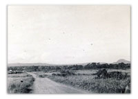 Agricultural Officer, Tanganyika 1955-65