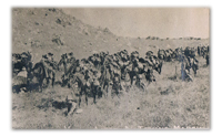 The 2nd Dragoons (Royal Scots Greys)