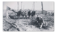 The 2nd Dragoons (Royal Scots Greys)