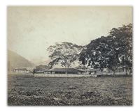 Colonial Trinidad