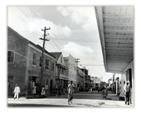 Reminiscences of the Leeward Islands