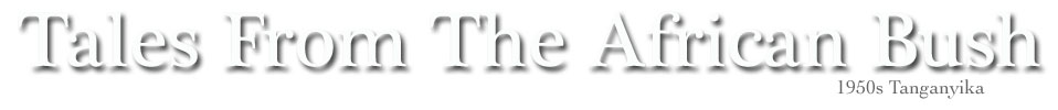British Empire Article