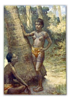 Anuta - An Island from Paradise? Anuta - An Island from Paradise?
