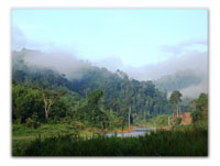 Jungle Trip from Grik to Temengorin Upper Perak District, Malaya