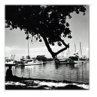 Solomons and Ships Solomons and Ships