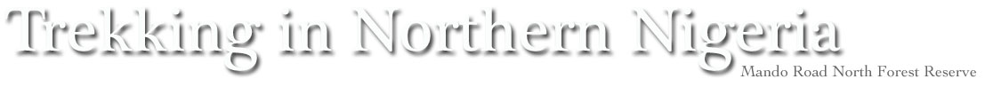 British Empire Article