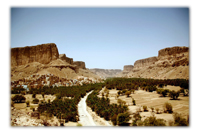 A Journey in the Hadhramaut