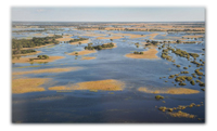 The Mongu Walk