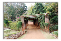 Malawi's Pioneering Role
in the Development of Land Husbandry Malawi's Pioneering Role
in the Development of Land Husbandry