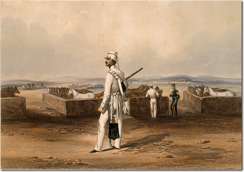 Click for Larger Resolution Image