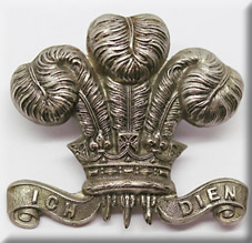 Badges
