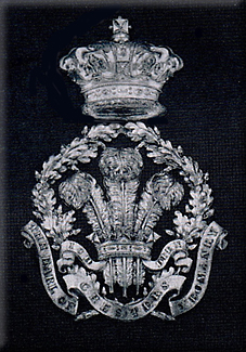 Badges