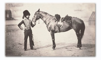 Royal Horse Artillery