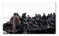 The Falklands War The Falklands War