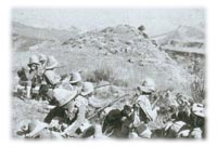 Dorsets Tirah